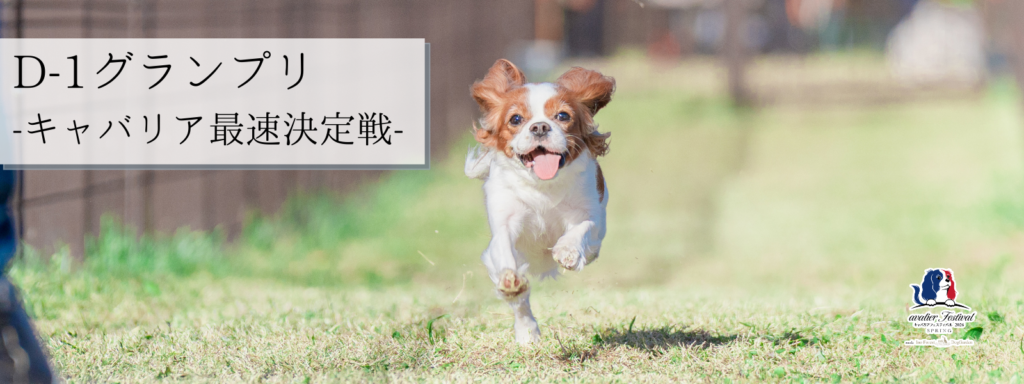 D-1グランプリ-キャバリア最速決定戦-