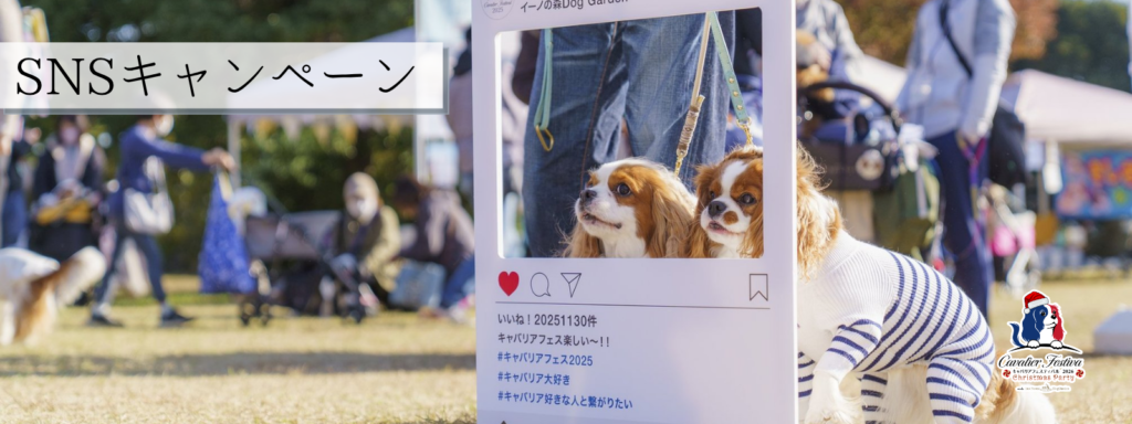 SNSキャンペーン