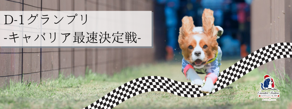 D-1グランプリ-キャバリア最速決定戦-