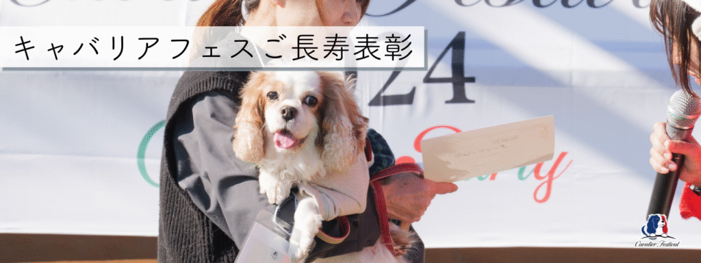 ご長寿表彰 2025-11-30