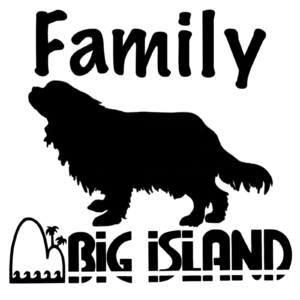 Family & BiG iSLAND