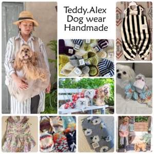 Teddy.Alex_Dog wear