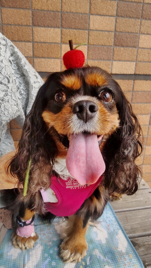 らっきーちゃん