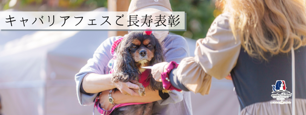 ご長寿表彰 2026-4-11