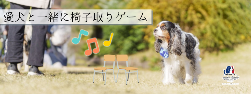 愛犬と一緒に椅子取りゲーム