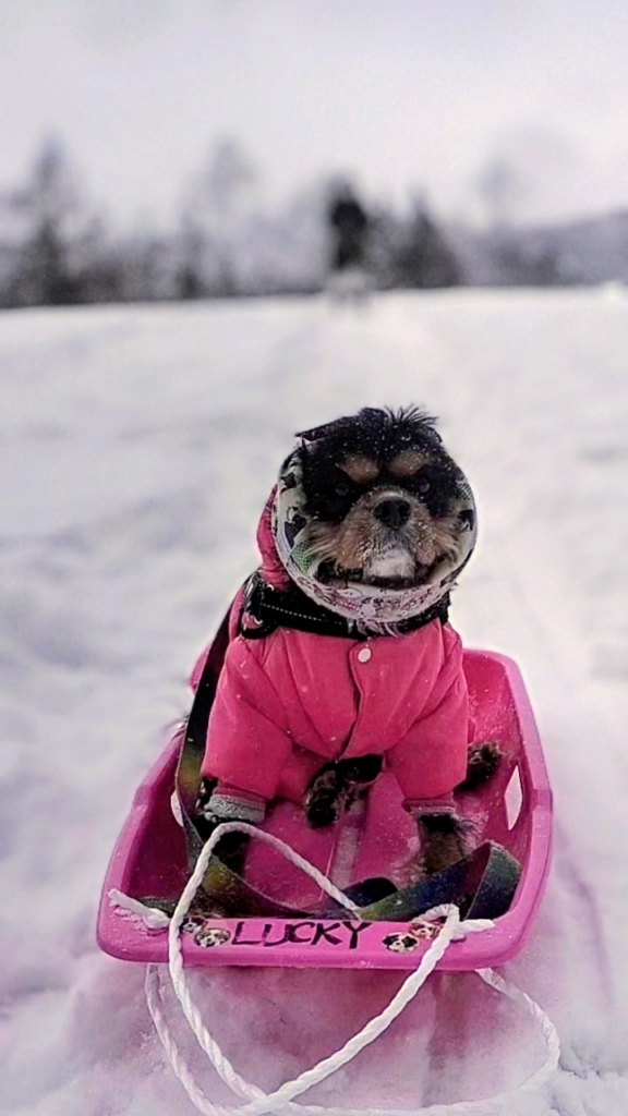 らっきーちゃん