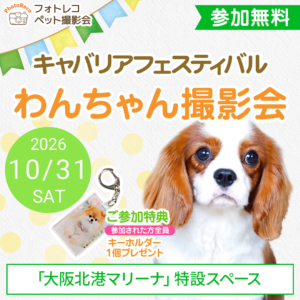 フォトレコペット撮影会