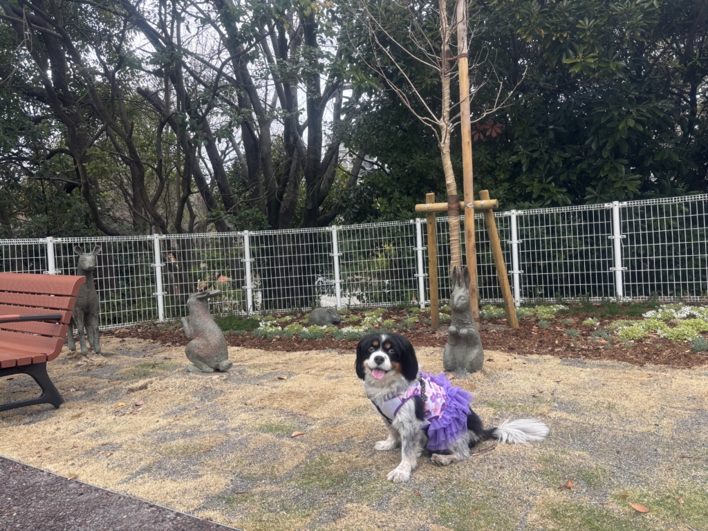 サリーちゃん
