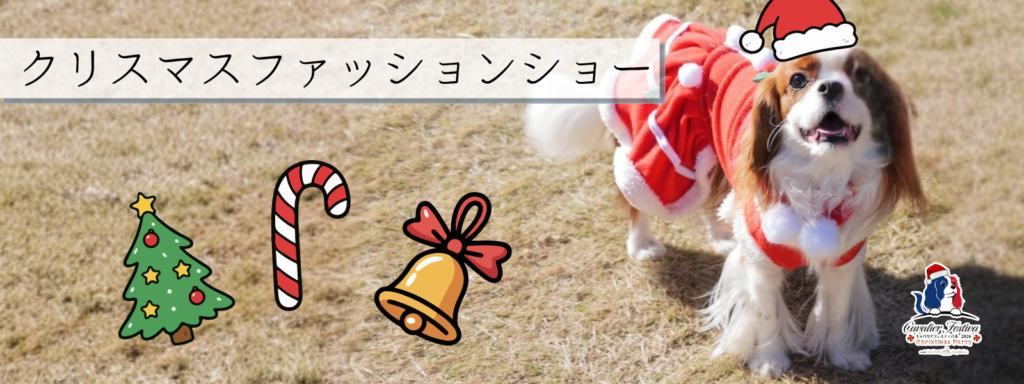 クリスマスファッションショー