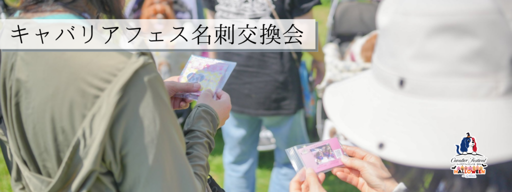 キャバリアフェス名刺交換会@大阪北港マリーナ