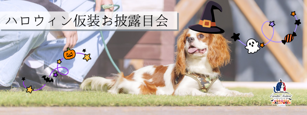 ハロウィン仮装お披露目会
