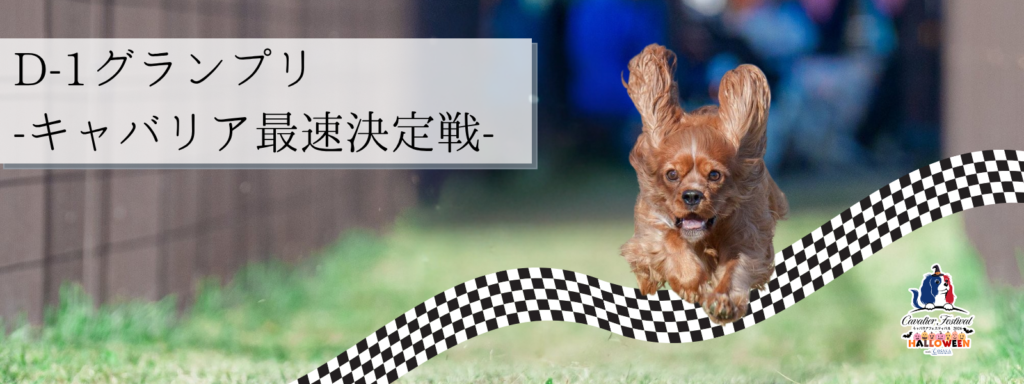 D-1グランプリ-キャバリア最速決定戦-@大阪北港マリーナ