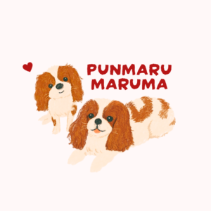 PUNMARUMARUMA