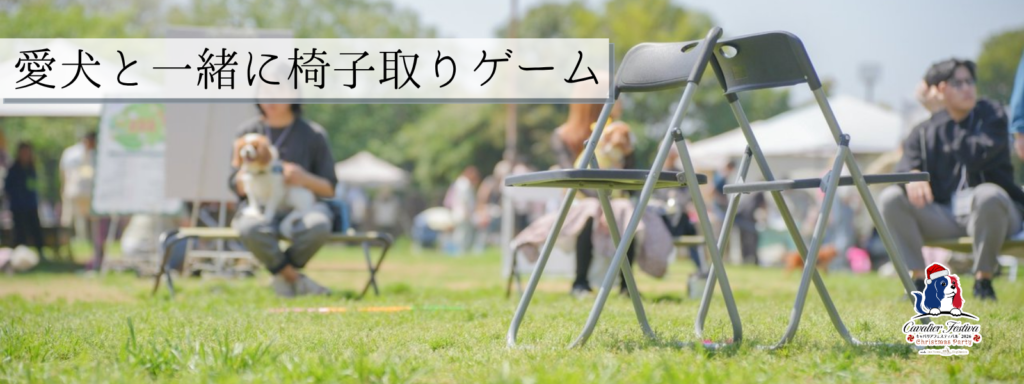 愛犬と一緒に椅子取りゲーム