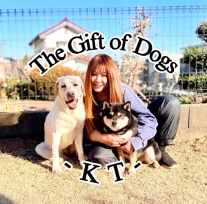 The Gift of Dogs -KT- 犬のしつけ個別相談会