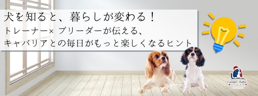 犬を知ると、暮らしが変わる！ トレーナー×ブリーダーが伝える、キャバリアとの毎日がもっと楽しくなるヒント